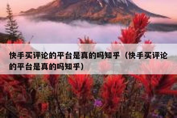快手买评论的平台是真的吗知乎（快手买评论的平台是真的吗知乎） 第1张