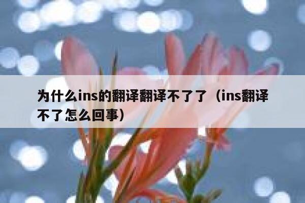 为什么ins的翻译翻译不了了（ins翻译不了怎么回事） 第1张