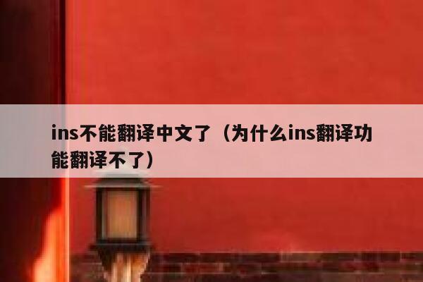 ins不能翻译中文了（为什么ins翻译功能翻译不了） 第1张