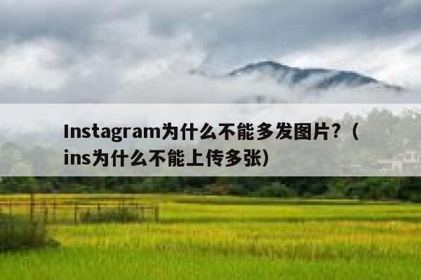 Instagram为什么不能多发图片?（ins为什么不能上传多张） 第1张