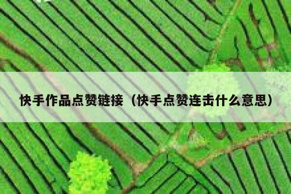 快手作品点赞链接(快手点赞连击什么意思) 第1张 快手作品点赞链接(快手点赞连击什么意思) 第1张