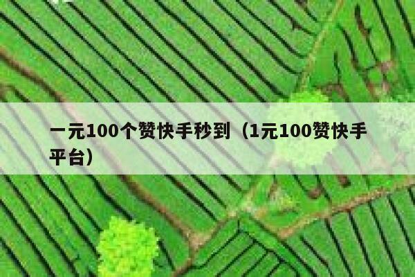 一元100个赞快手秒到（1元100赞快手平台） 第1张