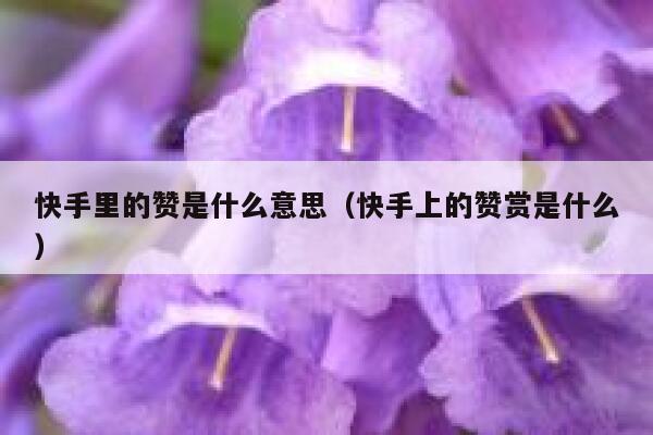 快手里的赞是什么意思（快手上的赞赏是什么） 第1张
