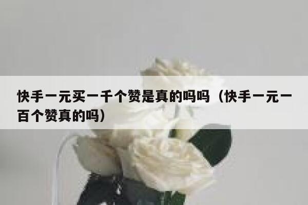 快手一元买一千个赞是真的吗吗(快手一元一百个赞真的吗) 第1张 快手一元买一千个赞是真的吗吗(快手一元一百个赞真的吗) 第1张