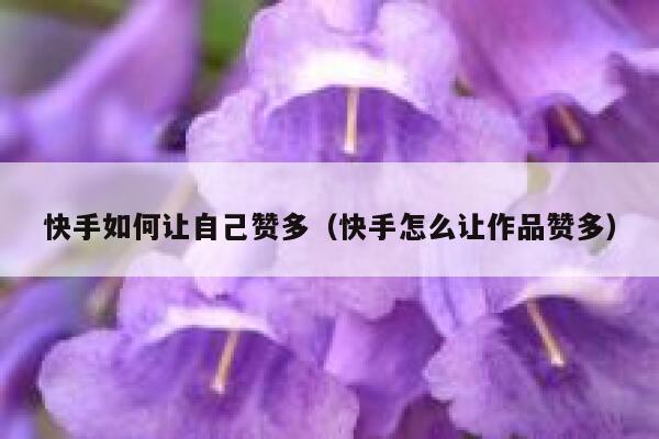 快手如何让自己赞多(快手怎么让作品赞多) 第1张 快手如何让自己赞多(快手怎么让作品赞多) 第1张