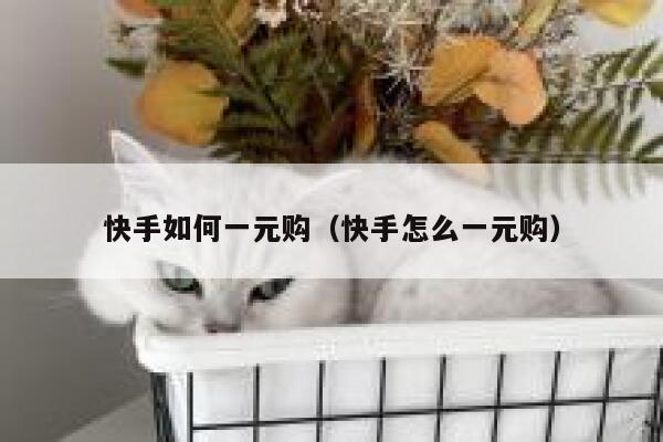 快手如何一元购（快手怎么一元购） 第1张
