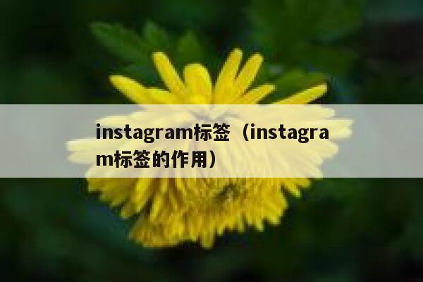 instagram标签（instagram标签的作用） 第1张