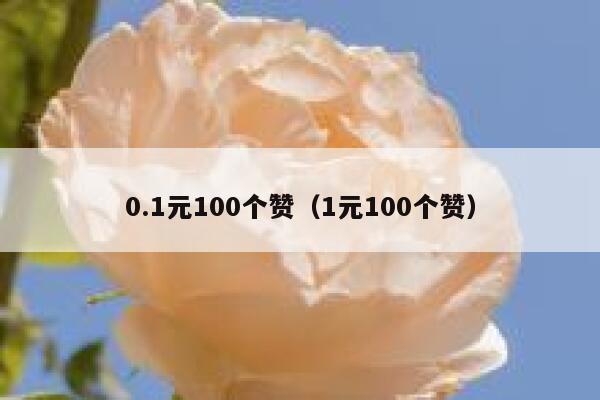 0.1元100个赞（1元100个赞） 第1张