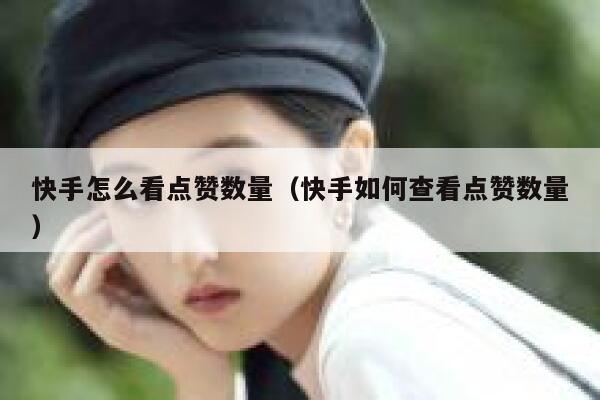 快手怎么看点赞数量（快手如何查看点赞数量） 第1张