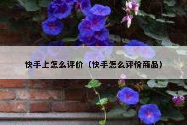 快手上怎么评价（快手怎么评价商品） 第1张