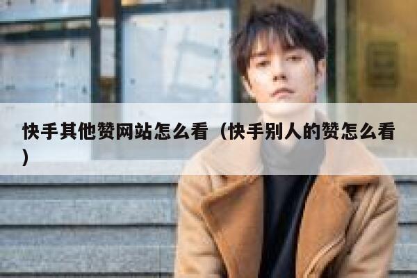快手其他赞网站怎么看（快手别人的赞怎么看） 第1张