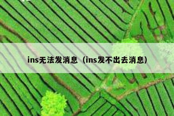 ins无法发消息（ins发不出去消息） 第1张