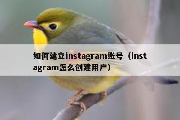 如何建立instagram账号(instagram怎么创建用户) 第1张 如何建立instagram账号(instagram怎么创建用户) 第1张