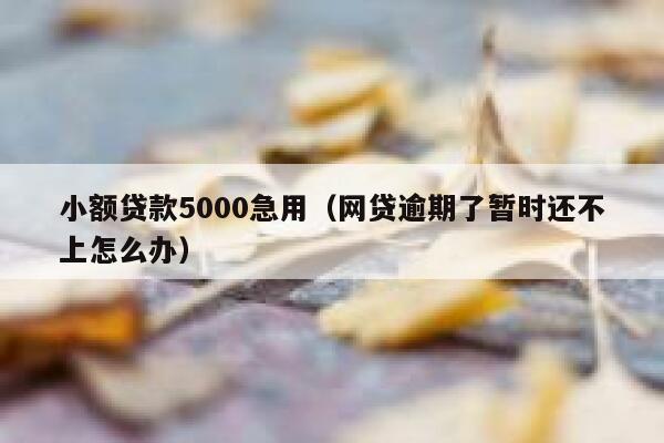 小额贷款5000急用（网贷逾期了暂时还不上怎么办） 第1张