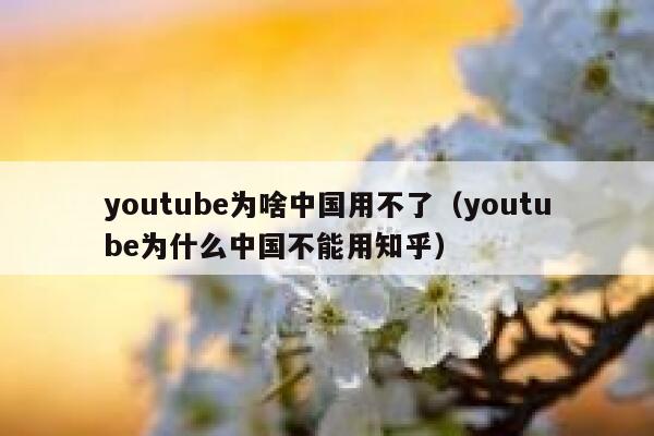 youtube为啥中国用不了(youtube为什么中国不能用知乎) 第1张 youtube为啥中国用不了(youtube为什么中国不能用知乎) 第1张