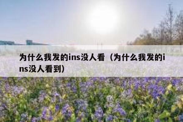 为什么我发的ins没人看（为什么我发的ins没人看到） 第1张