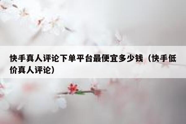 快手真人评论下单平台最便宜多少钱（快手低价真人评论） 第1张