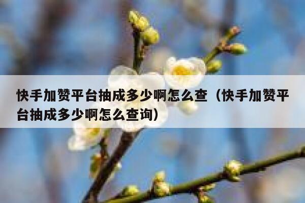快手加赞平台抽成多少啊怎么查(快手加赞平台抽成多少啊怎么查询) 第1张 快手加赞平台抽成多少啊怎么查(快手加赞平台抽成多少啊怎么查询) 第1张