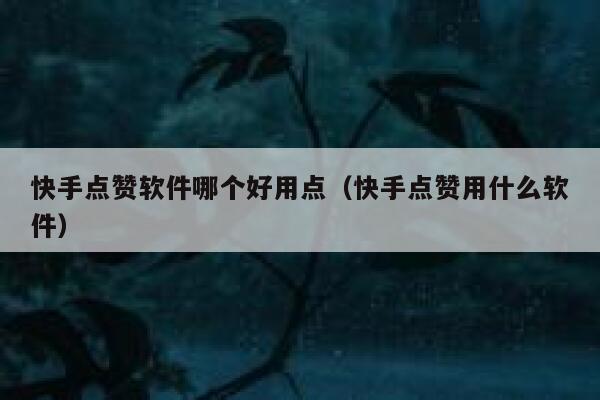 快手点赞软件哪个好用点（快手点赞用什么软件） 第1张