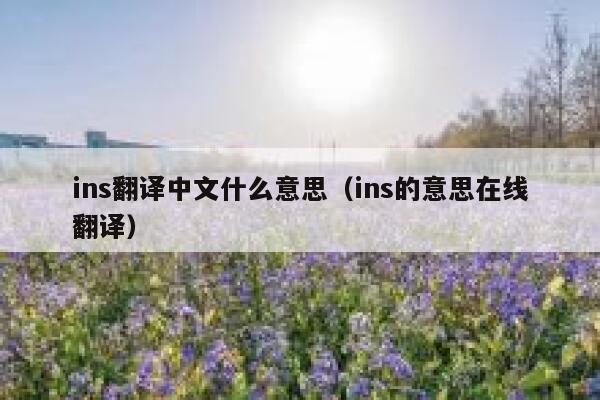 ins翻译中文什么意思（ins的意思在线翻译） 第1张