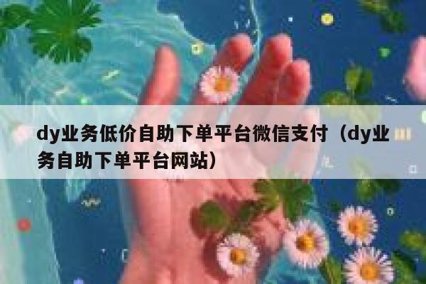 dy业务低价自助下单平台微信支付（dy业务自助下单平台网站） 第1张