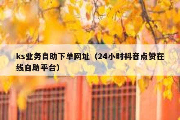 ks业务自助下单网址（24小时抖音点赞在线自助平台） 第1张