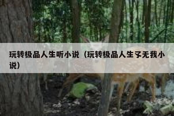 玩转极品人生听小说（玩转极品人生孓无我小说） 第1张