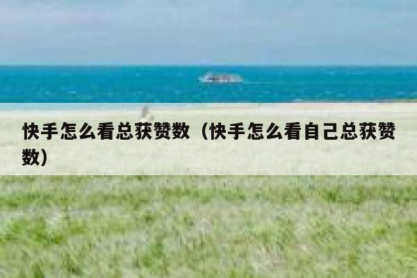 快手怎么看总获赞数(快手怎么看自己总获赞数) 第1张 快手怎么看总获赞数(快手怎么看自己总获赞数) 第1张
