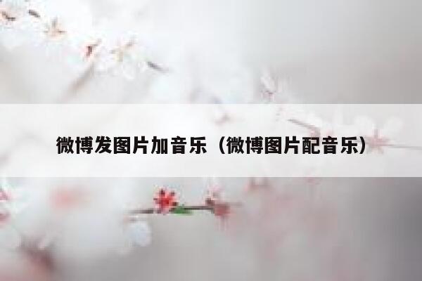 微博发图片加音乐（微博图片配音乐） 第1张
