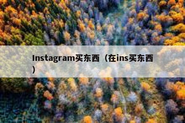 Instagram买东西(在ins买东西) 第1张 Instagram买东西(在ins买东西) 第1张