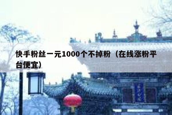快手粉丝一元1000个不掉粉(在线涨粉平台便宜) 第1张 快手粉丝一元1000个不掉粉(在线涨粉平台便宜) 第1张