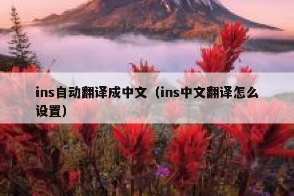 ins自动翻译成中文（ins中文翻译怎么设置） 第1张