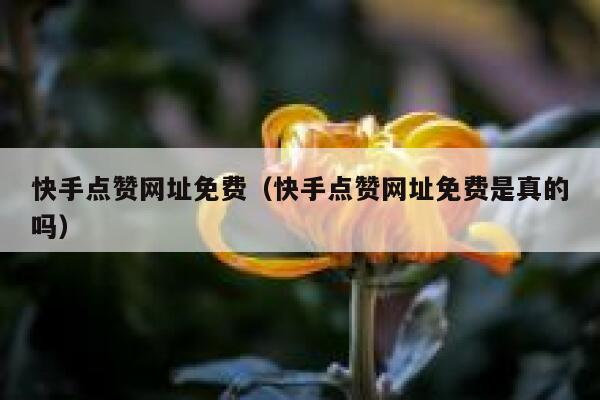 快手点赞网址免费（快手点赞网址免费是真的吗） 第1张