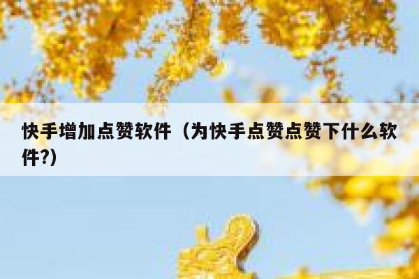 快手增加点赞软件（为快手点赞点赞下什么软件?） 第1张