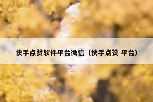 快手点赞软件平台微信（快手点赞 平台） 第1张