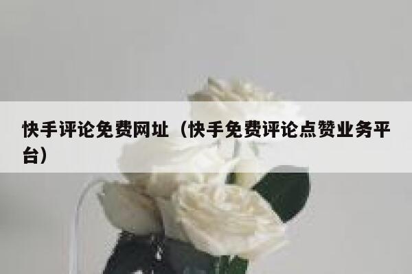 快手评论免费网址（快手免费评论点赞业务平台） 第1张