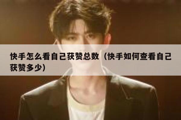 快手怎么看自己获赞总数(快手如何查看自己获赞多少) 第1张 快手怎么看自己获赞总数(快手如何查看自己获赞多少) 第1张