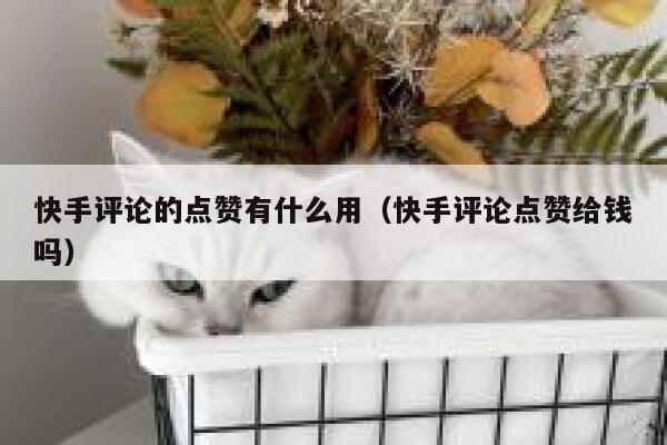 快手评论的点赞有什么用（快手评论点赞给钱吗） 第1张