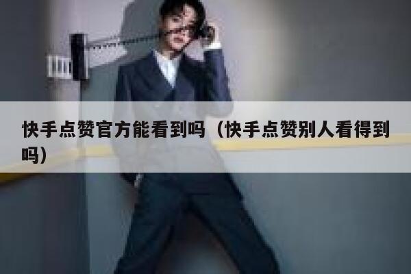 快手点赞官方能看到吗（快手点赞别人看得到吗） 第1张