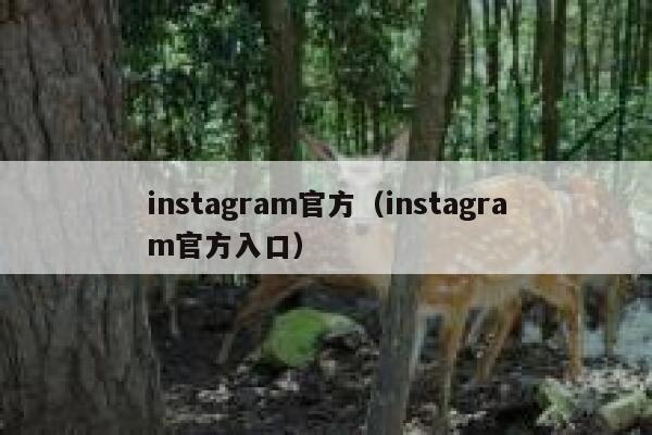 instagram官方(instagram官方入口) 第1张 instagram官方(instagram官方入口) 第1张