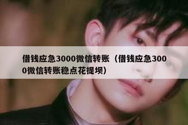 借钱应急3000微信转账（借钱应急3000微信转账稳点花提坝） 第1张