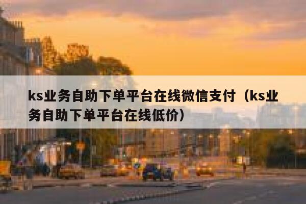 ks业务自助下单平台在线微信支付(ks业务自助下单平台在线低价) 第1张 ks业务自助下单平台在线微信支付(ks业务自助下单平台在线低价) 第1张