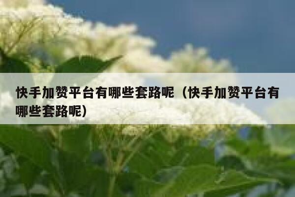快手加赞平台有哪些套路呢(快手加赞平台有哪些套路呢) 第1张 快手加赞平台有哪些套路呢(快手加赞平台有哪些套路呢) 第1张