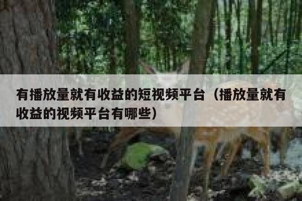 有播放量就有收益的短视频平台（播放量就有收益的视频平台有哪些） 第1张