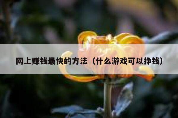 网上赚钱最快的方法(什么游戏可以挣钱) 第1张 网上赚钱最快的方法(什么游戏可以挣钱) 第1张