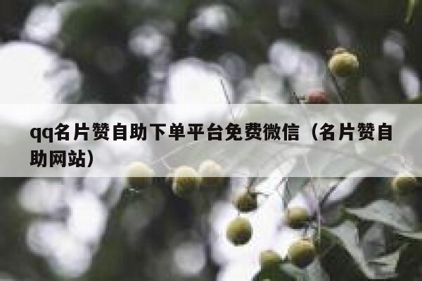 qq名片赞自助下单平台免费微信（名片赞自助网站） 第1张