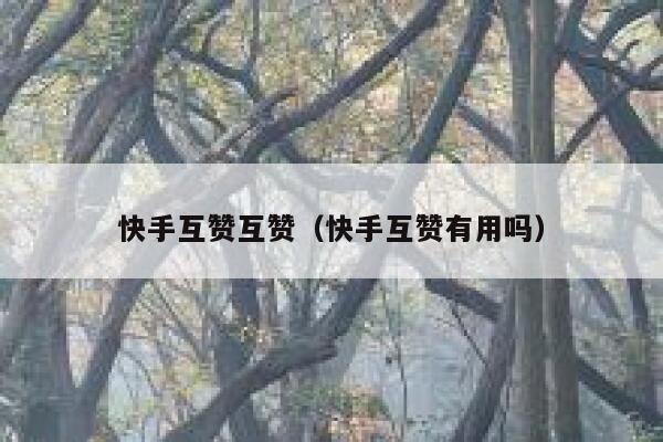 快手互赞互赞（快手互赞有用吗） 第1张