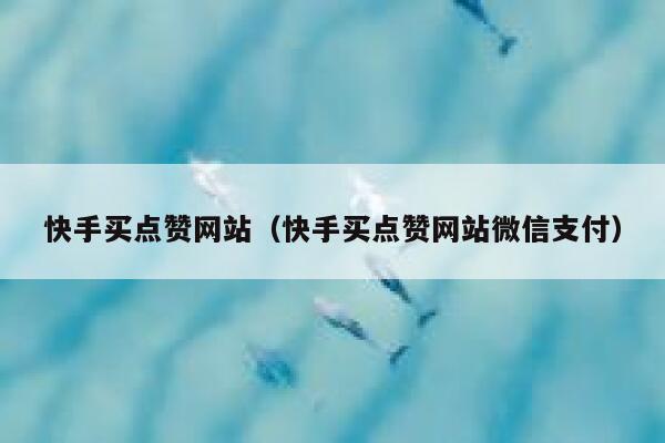 快手买点赞网站（快手买点赞网站微信支付） 第1张