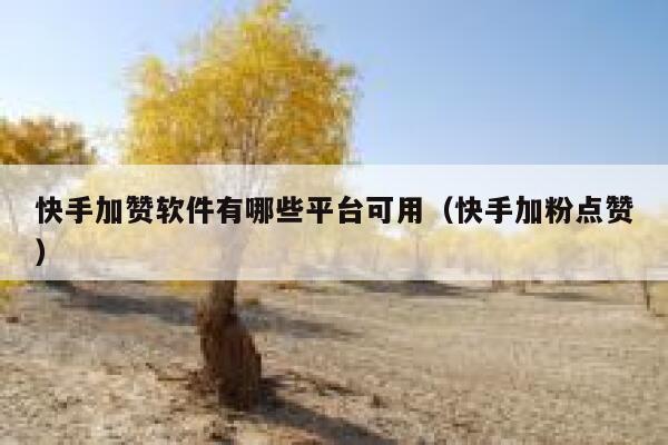 快手加赞软件有哪些平台可用(快手加粉点赞) 第1张 快手加赞软件有哪些平台可用(快手加粉点赞) 第1张