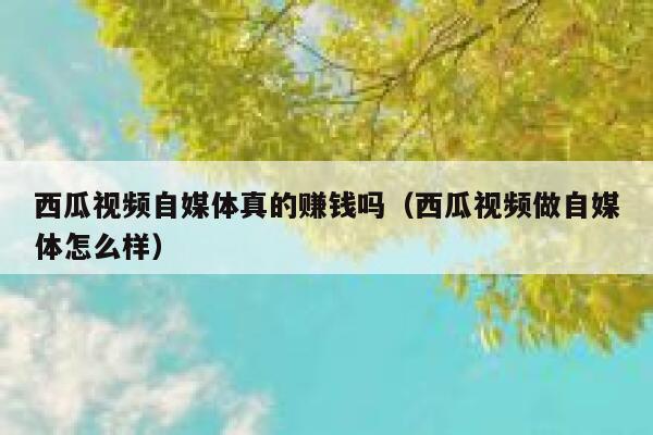 西瓜视频自媒体真的赚钱吗（西瓜视频做自媒体怎么样） 第1张